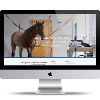 Sawtooth Equine Service - Web Design by Glick + Fray in Sun Valley Idaho