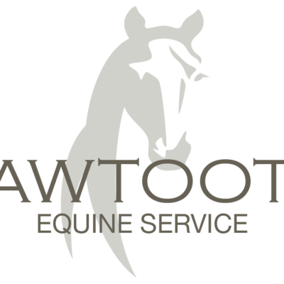 Sawtooth Equine Service - Logo Design by Glick + Fray in Sun Valley Idaho